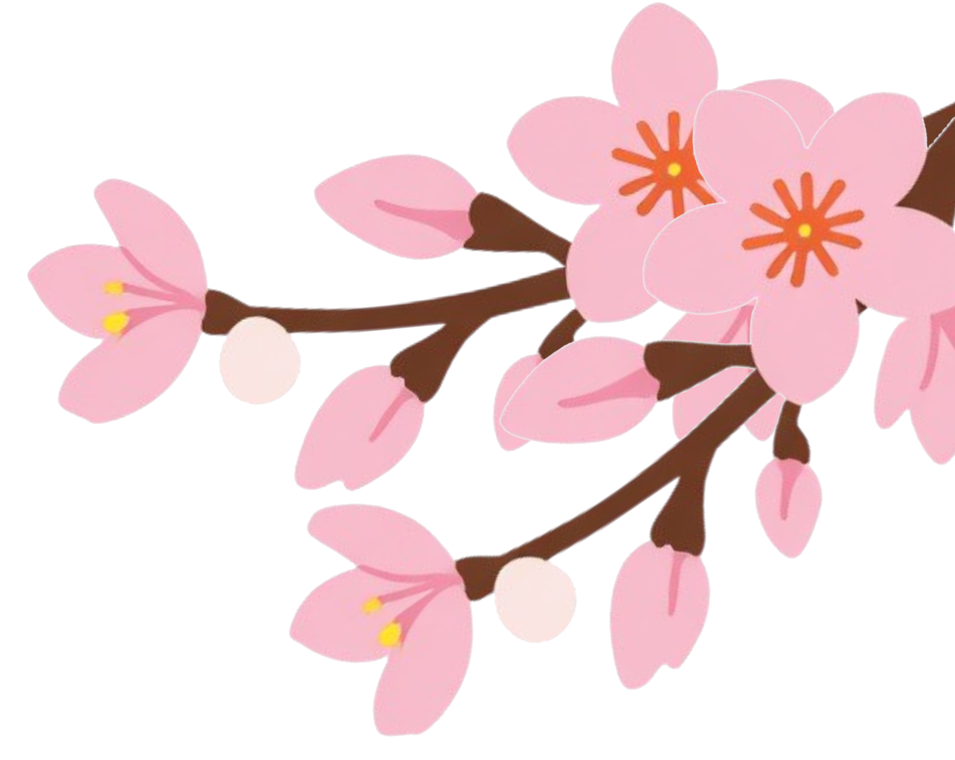 右の木